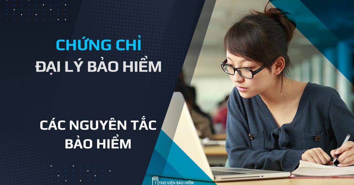 đại lý bảo hiểm