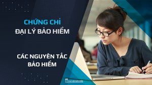 đại lý bảo hiểm